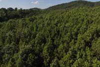 Timberland Property for sale in Polk County, Arkansas