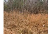 Land for sale in Columbia County, Georgia