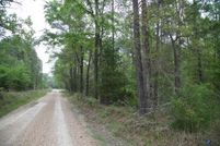 Land for sale in Polk County, Texas