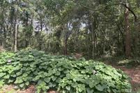 Land for sale in Mobile County, Alabama