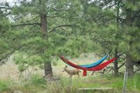 Recreational Property for sale in Spokane County, Washington