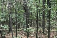 Undeveloped Land for sale in Talladega County, Alabama