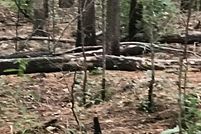 Homesite for sale in Talladega County, Alabama