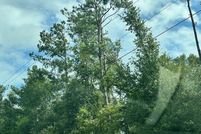 Land for sale in Taylor County, Florida