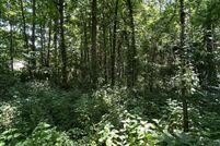 Timberland Property for sale in Trigg County, Kentucky