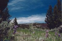 Farm and Ranch for sale in Silver Bow County, Montana