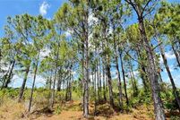 Land for sale in Okeechobee County, Florida