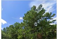 Undeveloped Land for sale in Onslow County, North Carolina