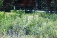 Farm and Ranch for sale in Blount County, Alabama