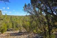 Undeveloped Land for sale in Navajo County, Arizona