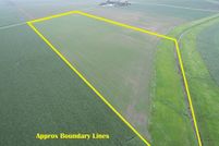 Timberland Property for sale in Kossuth County, Iowa