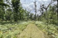 Farm and Ranch for sale in Lake County, Michigan