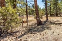 Land for sale in Coconino County, Arizona