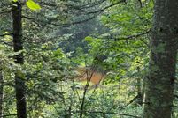 Undeveloped Land for sale in Pine County, Minnesota
