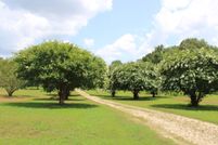 Recreational Property for sale in Lauderdale County, Tennessee