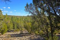 Farm and Ranch for sale in Navajo County, Arizona