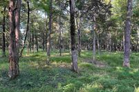 Undeveloped Land for sale in Fayette County, Tennessee