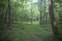 Land for sale in Fayette County, Tennessee