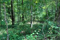 Land for sale in Gilmer County, Georgia