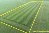 Farm and Ranch for sale in Nobles County, Minnesota