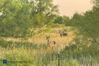 Land for sale in Cottle County, Texas