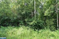 Land for sale in Saint Louis County, Minnesota