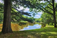 Undeveloped Land for sale in Osceola County, Michigan