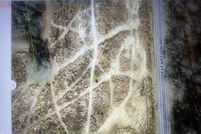 Land for sale in Johnston County, North Carolina