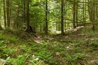 Farm and Ranch for sale in Washington County, Vermont