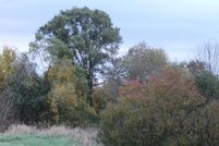 Timberland Property for sale in Kane County, Illinois