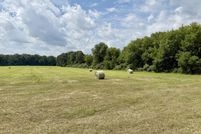 Land for sale in Montcalm County, Michigan