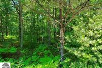 Homesite for sale in Arenac County, Michigan
