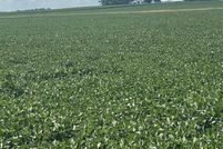 Land for sale in Faribault County, Minnesota
