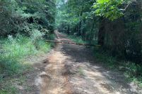 Undeveloped Land for sale in Crenshaw County, Alabama
