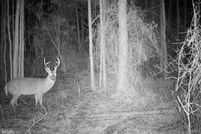 Farm and Ranch for sale in Somerset County, Maryland