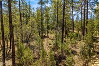 Timberland Property for sale in Navajo County, Arizona
