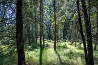 Farm and Ranch for sale in Juneau County, Wisconsin