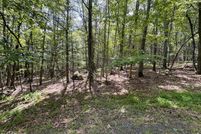 Land for sale in Pike County, Pennsylvania