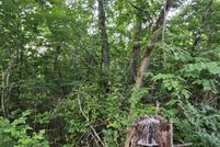 Timberland Property for sale in Searcy County, Arkansas