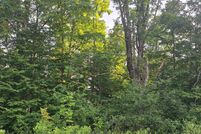 Land for sale in Osceola County, Michigan