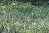 Homesite for sale in Brown County, Texas