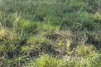 Land for sale in Brown County, Texas