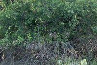 Homesite for sale in Brown County, Texas