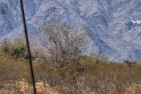 Land for sale in Maricopa County, Arizona