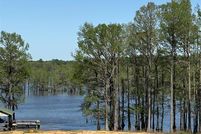 Undeveloped Land in Bienville Parish, Louisiana