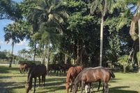 Land for sale in Palm Beach County, Florida