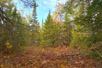 Land for sale in Chippewa County, Michigan