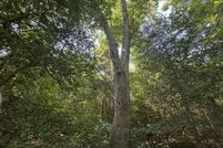 Farm and Ranch for sale in Charles City County, Virginia