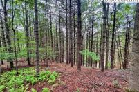 Land for sale in Ashe County, North Carolina