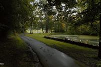 Farm and Ranch for sale in Madison County, Tennessee